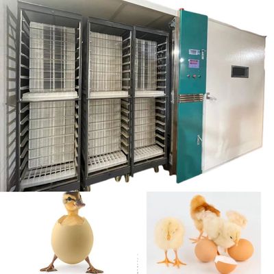 خرید جوجه کشی خودکار تخم مرغ ONELYE 12000 جوجه کشی The Ducks Gooses Pigeons online manufacture