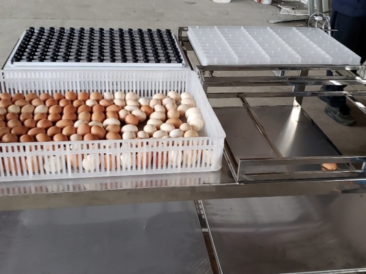 خرید انتقال ماشین آلات تجاری میز اتوماتیک تخم مرغ شمعی online manufacture