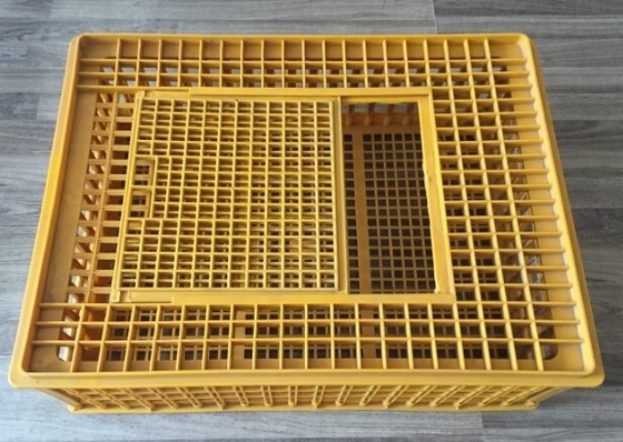 خرید لوازم جانبی Chicken Coop قفس پلاستیکی مرغ مرغ حمل و نقل 732x534x260mm online manufacture
