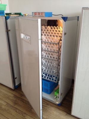 خرید دستگاه جوجه کشی تخم مرغ Easy Hatch کاملاً اتوماتیک برای تخم مرغ جوجه کشی ظرفیت 300 تخم مرغ online manufacture