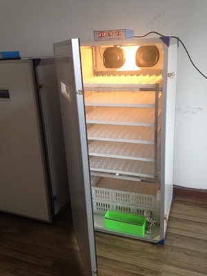 خرید 300 دستگاه جوجه کشی تخم مرغ کوچک لاک پشت برای جوجه کشی خودکار تخم مرغ online manufacture