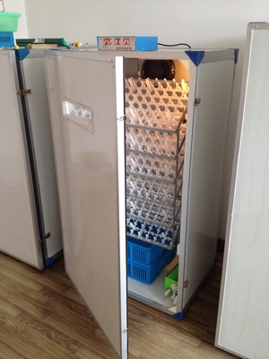 خرید دستگاه جوجه کشی اتوماتیک تخم مرغ طیور 600 دستگاه جوجه کشی تخم مرغ online manufacture