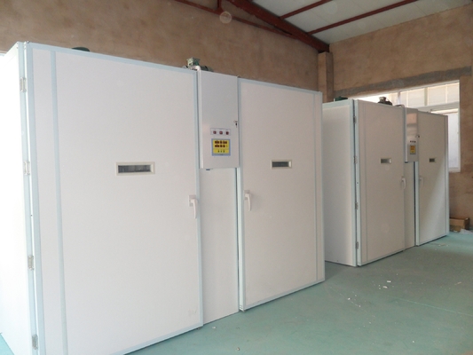 خرید 63648 دستگاه جوجه کشی تک مرحله ای جوجه کشی تک مرحله ای دستگاه جوجه کشی طیور online manufacture
