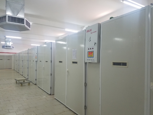 خرید دستگاه جوجه کشی تخم مرغ جوجه کشی 20000 online manufacture