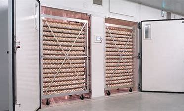 خرید دستگاه جوجه کشی یک مرحله ای بلدرچین هوشمند 31824 Eggs With Egg Turner online manufacture