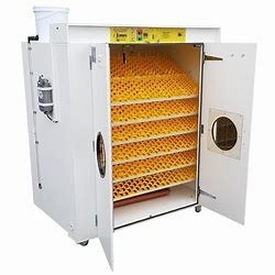 خرید 31824 تجاری بلدرچین تخم مرغ جوجه کشی اتوماتیک چرخش گرما قابل تنظیم است online manufacture