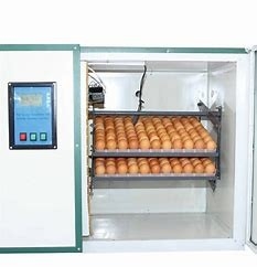 خرید جوجه کشی 360 درجه اتوماتیک جوجه کشی تخم مرغ تهویه شده online manufacture