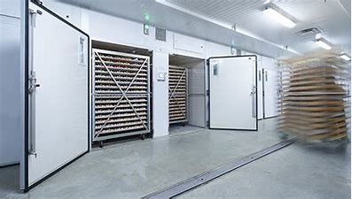 خرید 6 دستگاه جوجه کشی تک مرحله ای خنک کننده هوای واگن برقی کاملا اتوماتیک هوشمند online manufacture