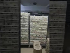 متداول‌ترین نوع انکوباتور چیست؟